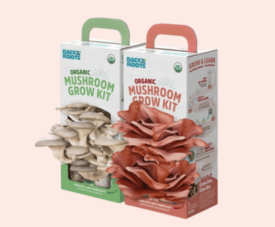 Custom_Mushroom_boxes_-_Kwick_Packaging.png