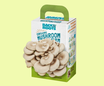 Custom_Printed_Mushroom_boxes_Wholesale_-_Kwick_Packaging.png