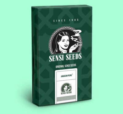 Cannabis_Seed_Boxes.jpg