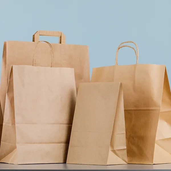 Brown Paper Bags
