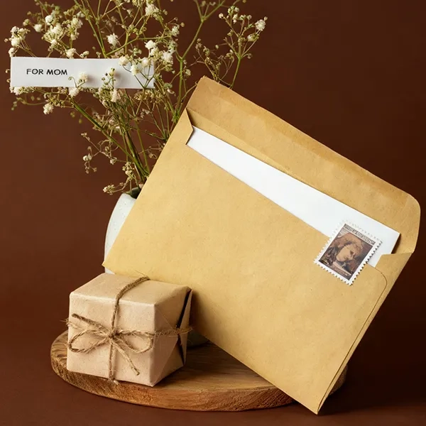 Paper Mailing Bags-2
