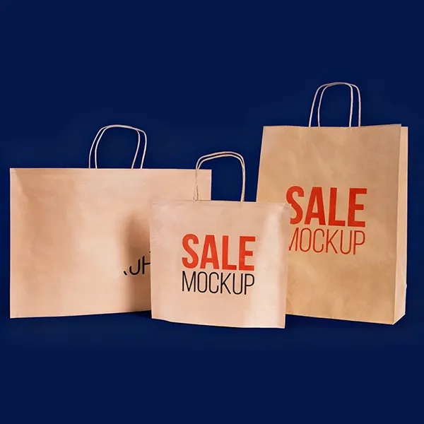 Paper Bags With Handles-2