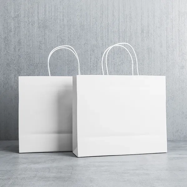 White Paper Bags-2