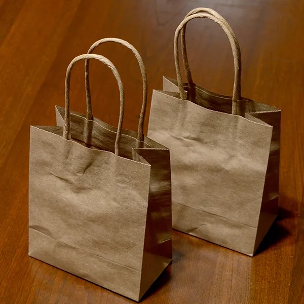 Brown Paper Bags