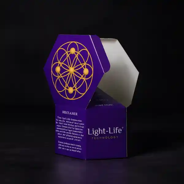 Hexagon Boxes
