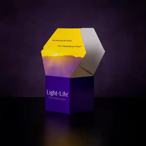 Hexagon Boxes